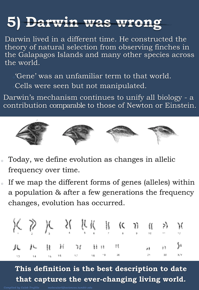 Illustration for article titled Top five misconceptions about evolution according to science